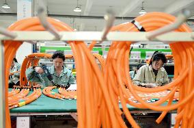 Chinese Automobile Manufacturing Industry