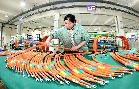 Chinese Automobile Manufacturing Industry