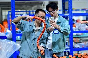 Chinese Automobile Manufacturing Industry