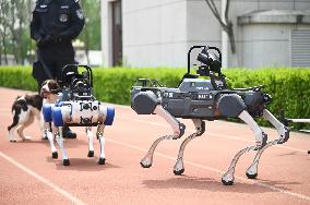 Police Patrol Robot Dog