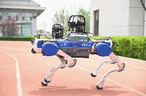 Police Patrol Robot Dog