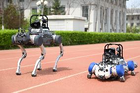 Police Patrol Robot Dog