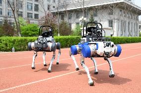 Police Patrol Robot Dog