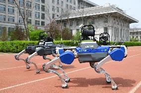 Police Patrol Robot Dog