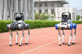 Police Patrol Robot Dog
