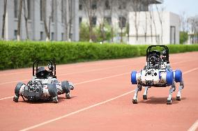 Police Patrol Robot Dog