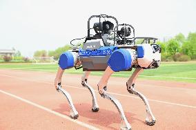 Police Patrol Robot Dog