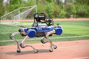 Police Patrol Robot Dog