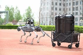 Police Patrol Robot Dog