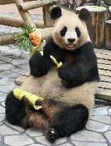Giant panda gets Mother's Day gift