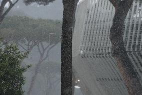 TENNIS - Internazionali di Tennis - Internazionali BNL d'Italia