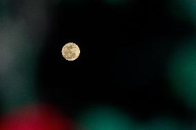 The Full Moon Flower Moon Seen Over Mexico City