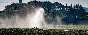 Illustration - Drought Continues to Increase in The Netherlands