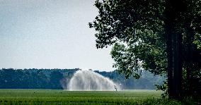 Illustration - Drought Continues to Increase in The Netherlands