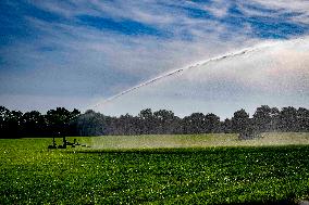 Illustration - Drought Continues to Increase in The Netherlands