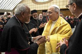 Jubilee Audience with Pope Leo XIV at Vatican