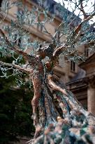 Vital Impulse - Andrea Roggi s Sculptures in Paris