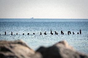 Chornomorka Beach in Odesa