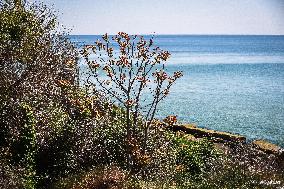 Chornomorka Beach in Odesa
