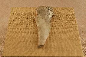Oracle Bone Fragment