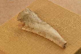 Oracle Bone Fragment