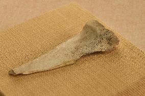 Oracle Bone Fragment