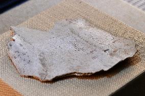 Oracle Bone Fragment