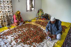 Strawberry Harvest Illustrations - India