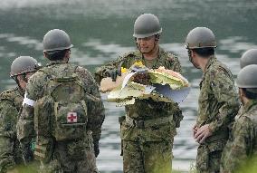 SDF trainer jet crashes