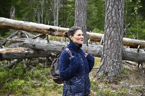 CROWN PRINCESS NORRA KVILL NATIONAL PARK