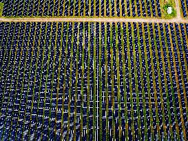 Renewable Energy Park Illustrations - Netherlands