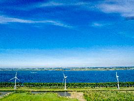 Renewable Energy Park Illustrations - Netherlands