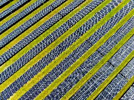 Renewable Energy Park Illustrations - Netherlands