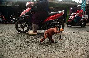 Exploitation Of Long-Tailed Macaques - Indonesia
