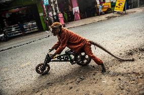 Exploitation Of Long-Tailed Macaques - Indonesia