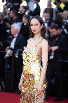 Cannes - Dossier 137 (Case 137) Red Carpet