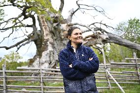 CROWN PRINCESS VICTORIA NORRA KVILL