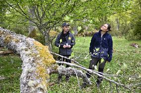CROWN PRINCESS VICTORIA NORRA KVILL
