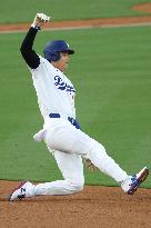 Baseball:Shohei Ohtani