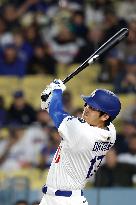 Baseball:Shohei Ohtani