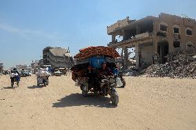 Displaced Palestinians in Gaza City - Palestine