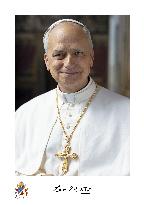 Official Portrait of Pope Leo XIV - Vatican