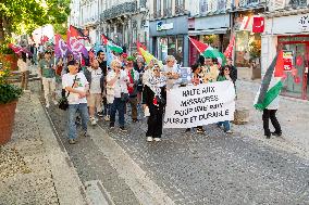 Gaza Peace March Organized By Left-Wing Collective - Troyes