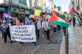 Gaza Peace March Organized By Left-Wing Collective - Troyes