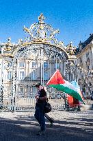 Gaza Peace March Organized By Left-Wing Collective - Troyes