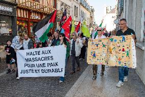 Gaza Peace March Organized By Left-Wing Collective - Troyes