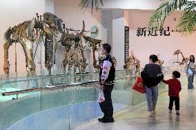 International Museum Day