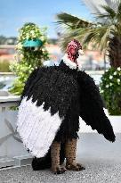 Cannes - I Love Peru Photocall