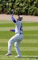 Baseball: White Sox vs. Cubs