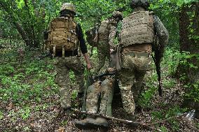 Tactical drills of Khartiia Brigade in Kharkiv region